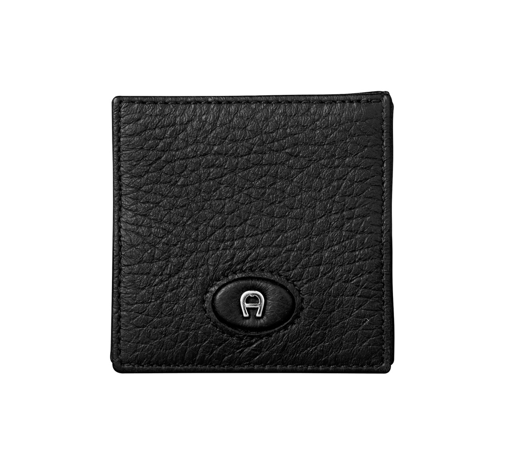 NORTHERN LIGHTS  Coin Case, black